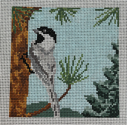 AOK150 Chickadee