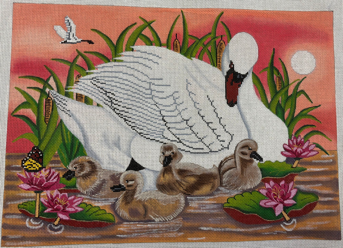 LAN5 Swans