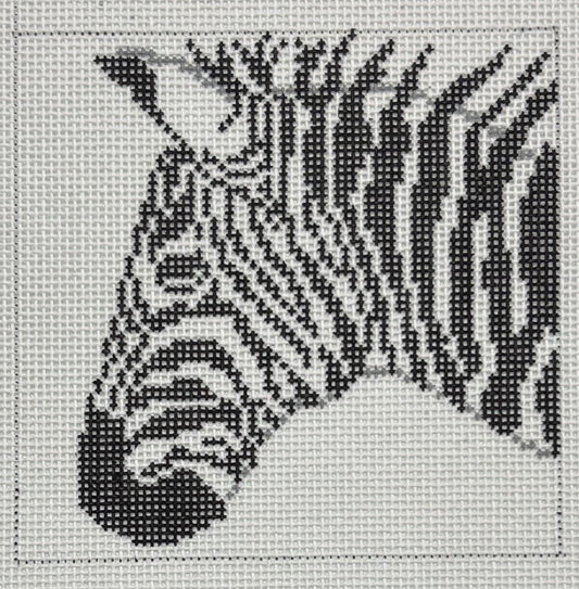 CO-46 Zebra on White