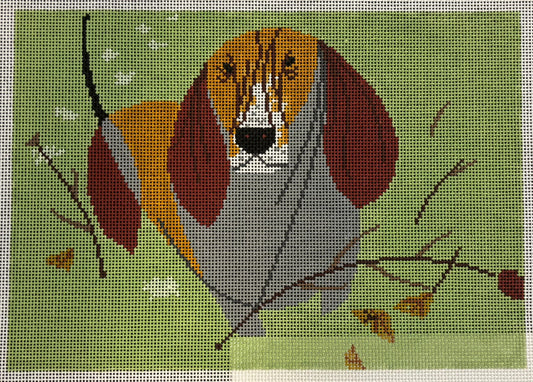 HC-B234 Basset Hound