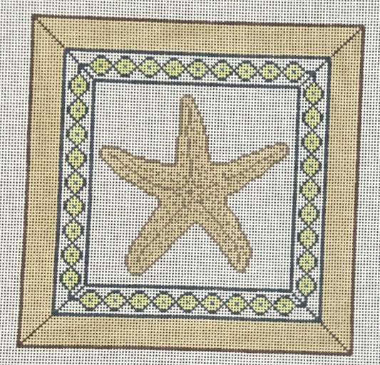 PIL257 Starfish