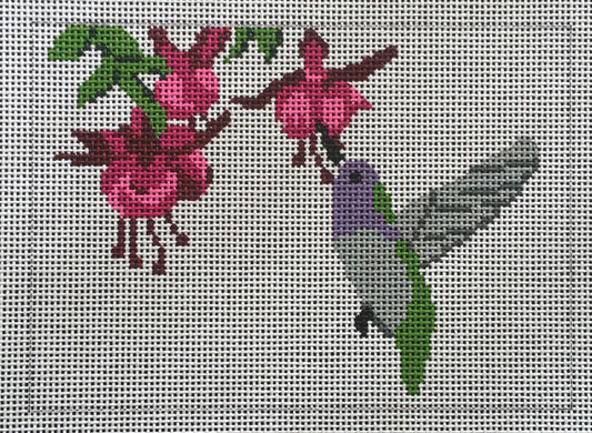 PIL264 Hummingbird
