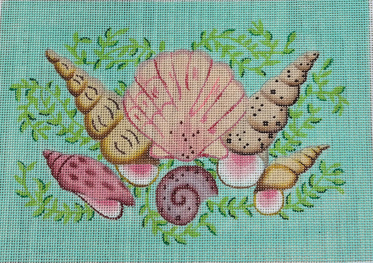 CL-27 Mixed Shells on Aqua