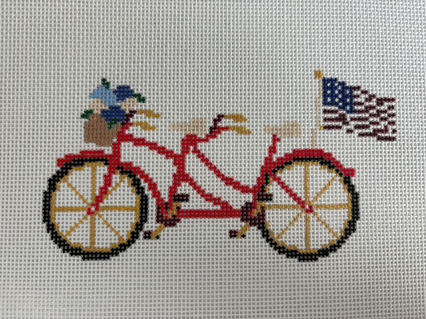 TSS-112 Summer Tandem Bike