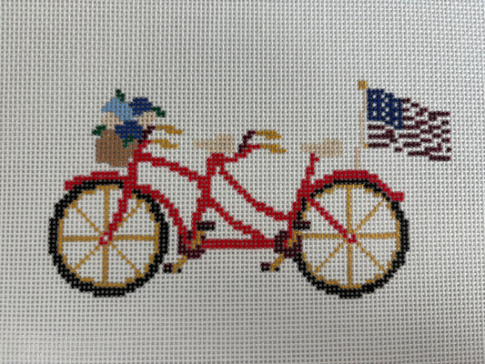 TSS-112 Summer Tandem Bike