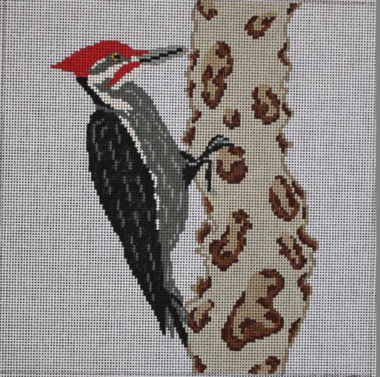 PIL267 Woodpecker