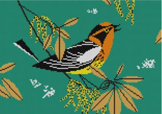 HC-B241 Blackburnian Warbler