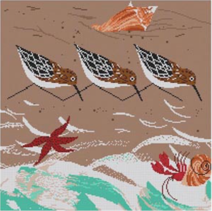 HC-B302 Beach Birds