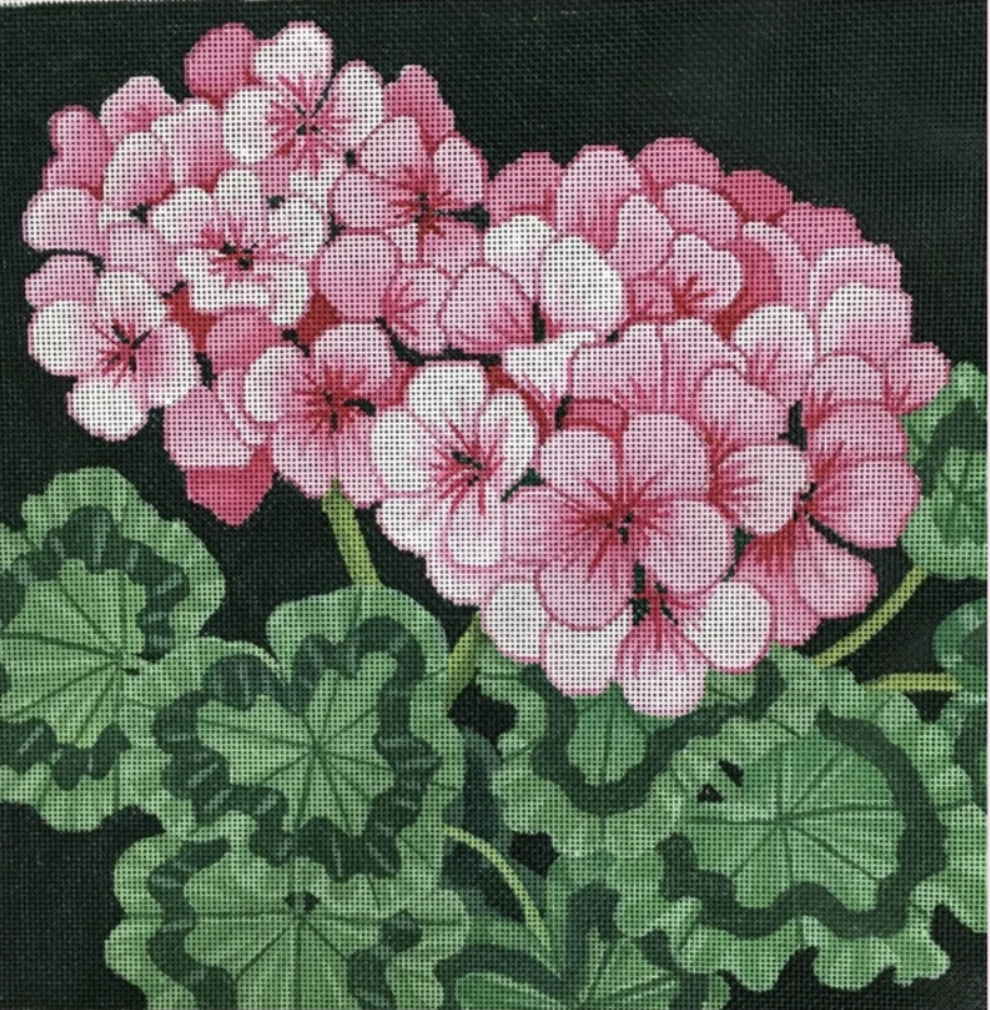 B-351 Pink Geraniums