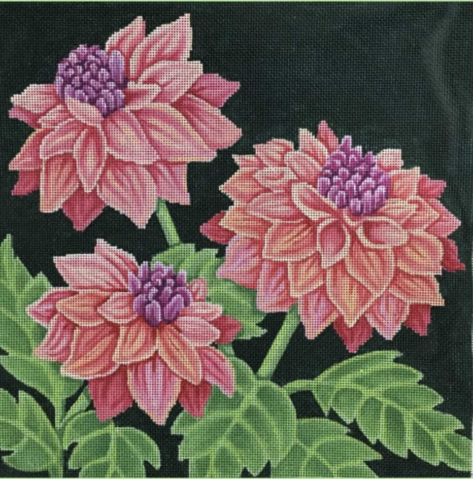 B-352 Dahlias