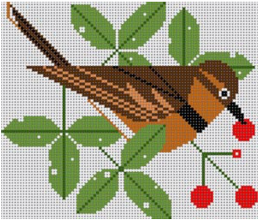 CH-V027 Varied Thrush