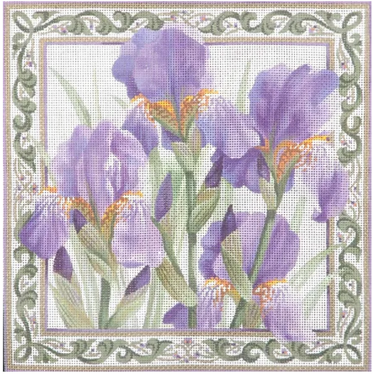 TTAP381 Irises