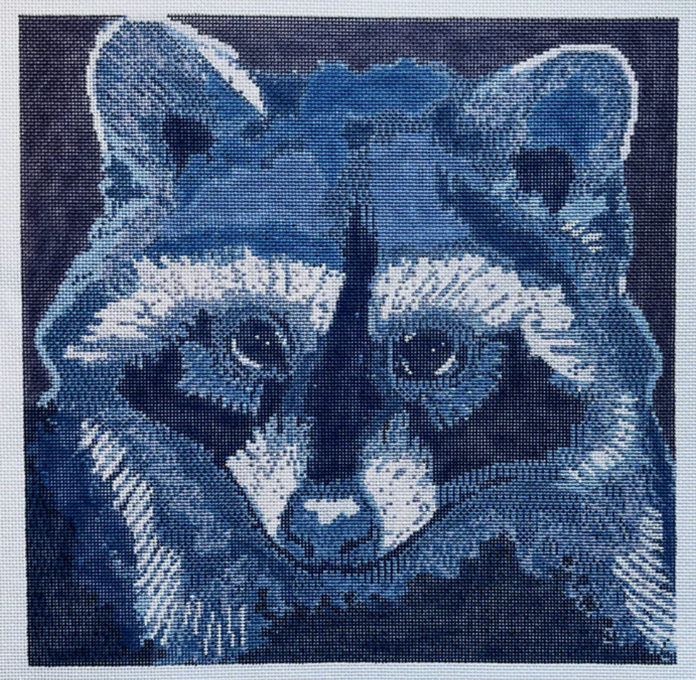 TA4069 Raccoon Canvas