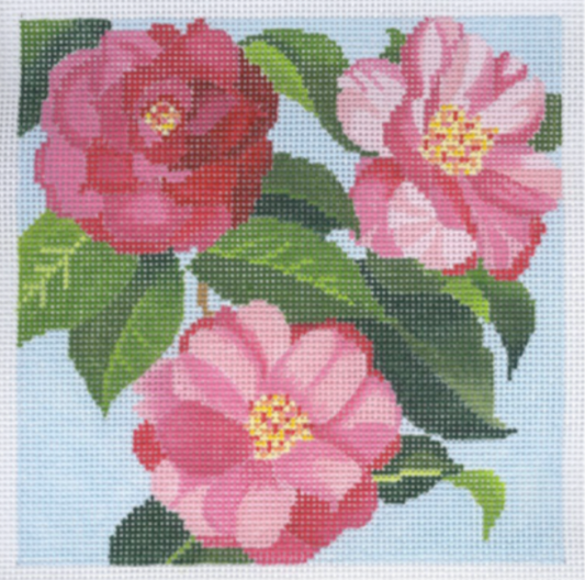 22-206 Three Camellias