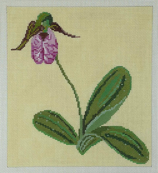 T17a Pink Lady's Slipper - 13 Mesh