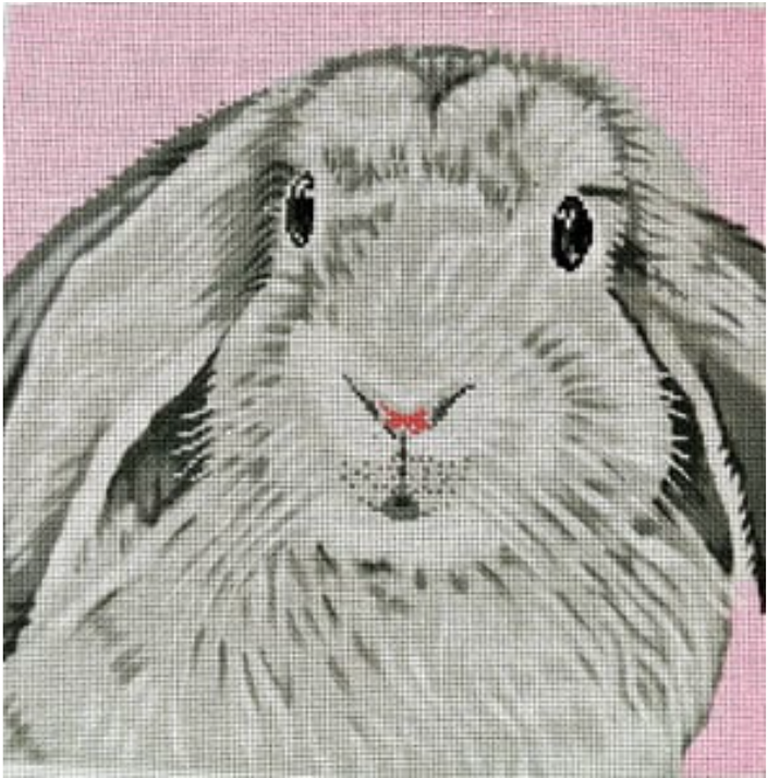 C-450bb Floppy Bunny