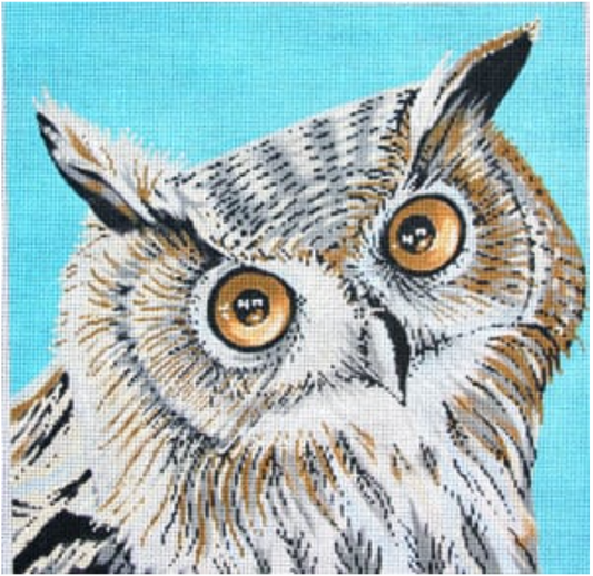 C-450A Owl on Blue