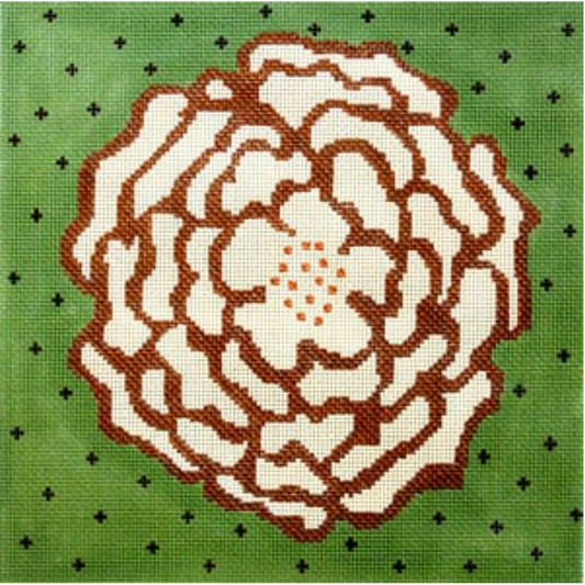 C-424 Cream Camellia