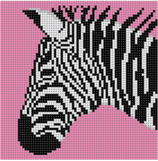 CO-46C Zebra on Pink