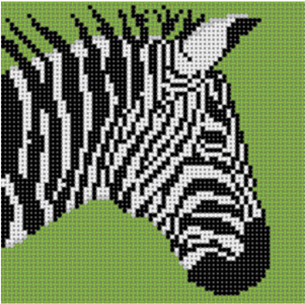 CO-46B Zebra on Green
