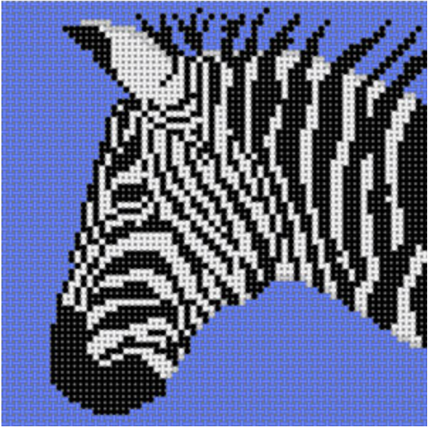 CO-46A Zebra on Blue