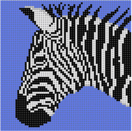 CO-46A Zebra on Blue