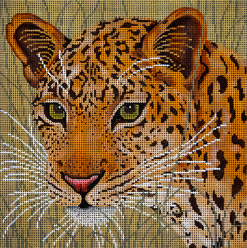 JP-A106 Leopard in Grasses