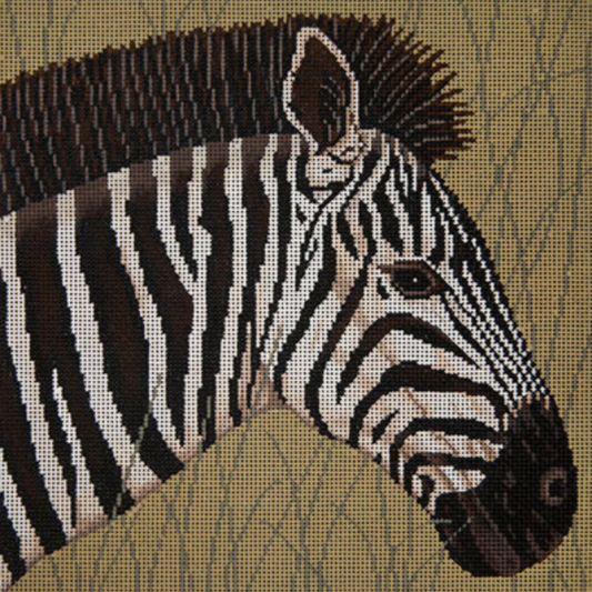 JP-A107 Zebra in Grasses