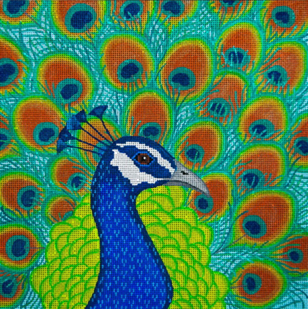 JP-B306 Strutting Your Stuff