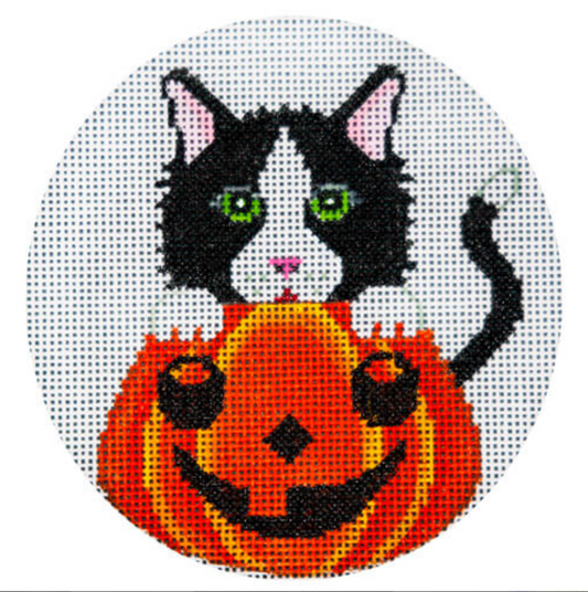 JP-H253 Tuxedo Cat in Pumpkin