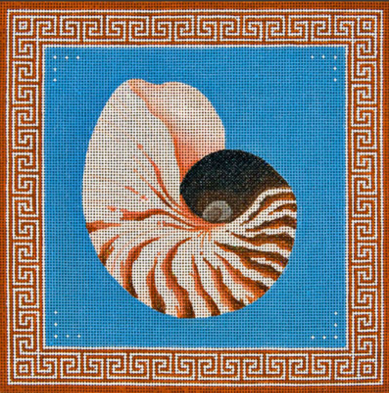 JP-S013 Nautilus Shell with Asian Border