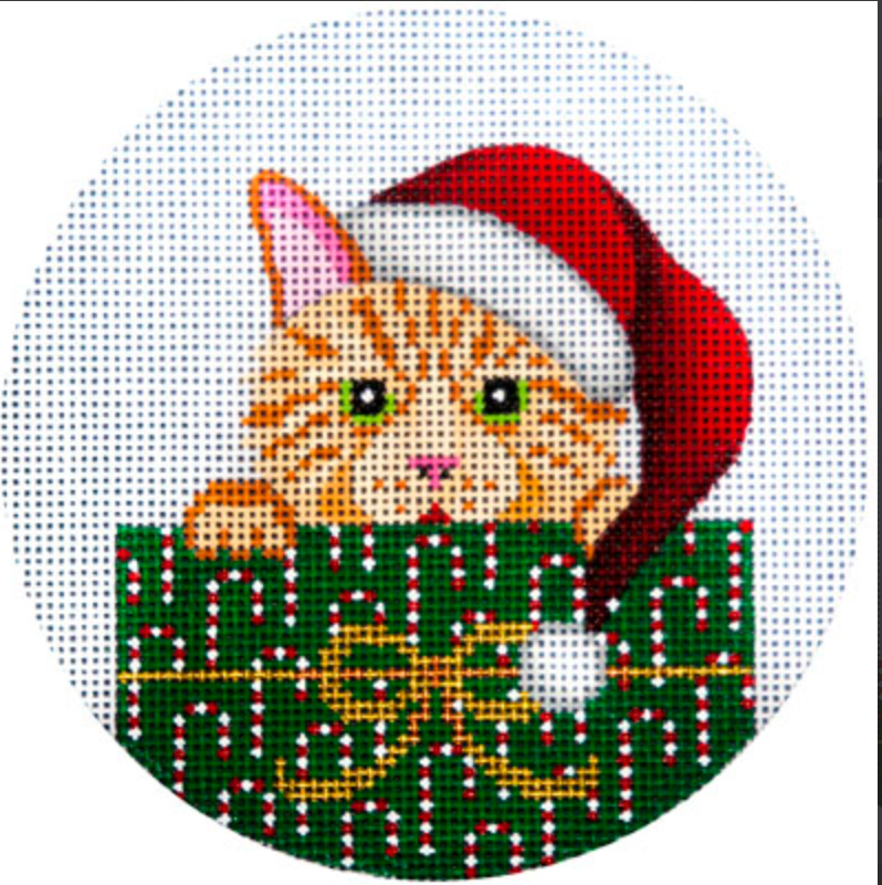 JP-X252 Orange Cat in Package