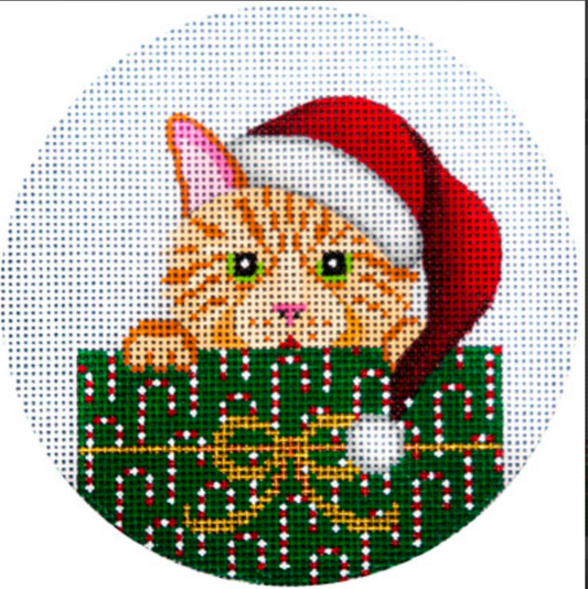 JP-X252 Orange Cat in Package