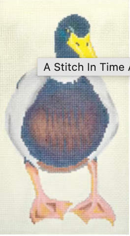 ASIT046 Mallard Duck