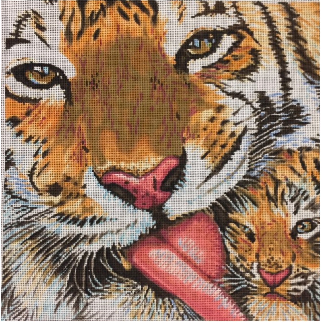 ASIT111 Tiger Mom and Baby