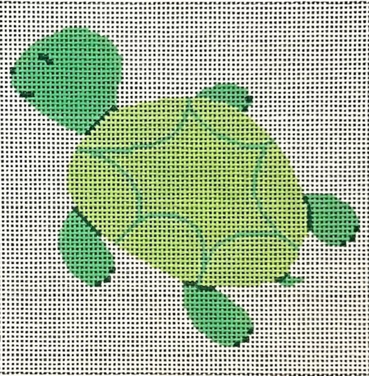 ASIT542 Green Turtle