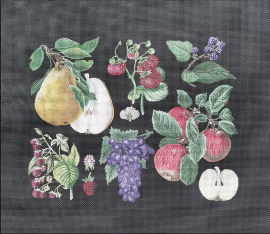 AR-FL01 Pears and Berries