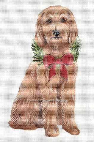 DM-DG08 Holiday Goldendoodle