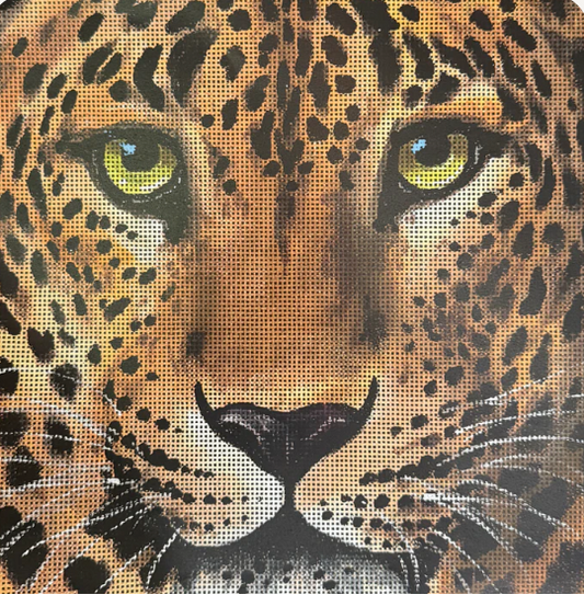 AN536 Leopard Face