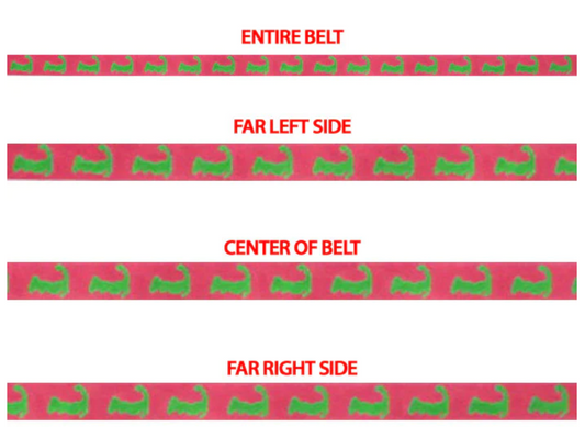569 Cape Cod Belt - Pink and Green
