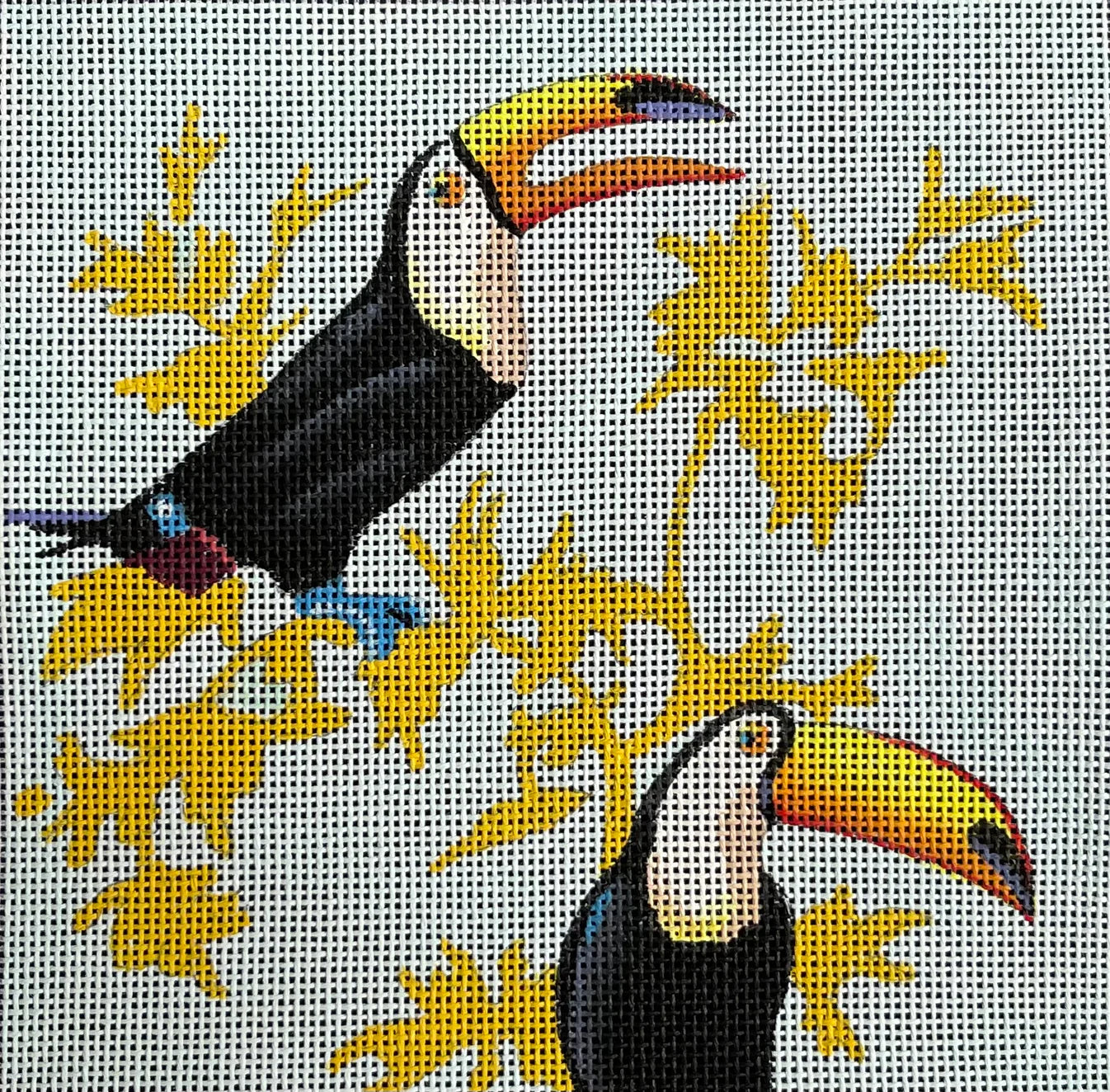 IN663 Toucans on Blue