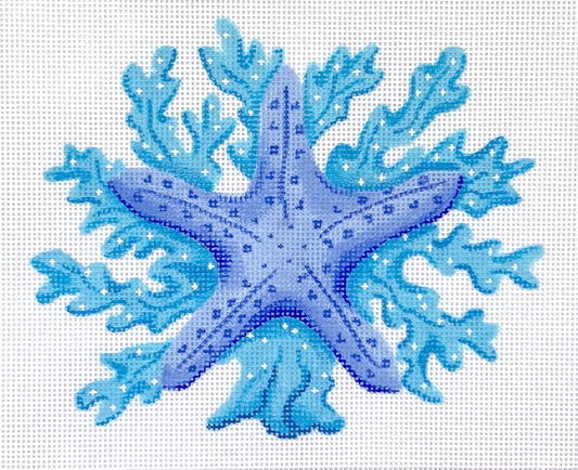 PL-516 Starfish with Coral - Blues