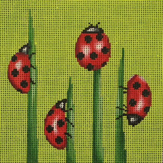 24016 Ladybugs