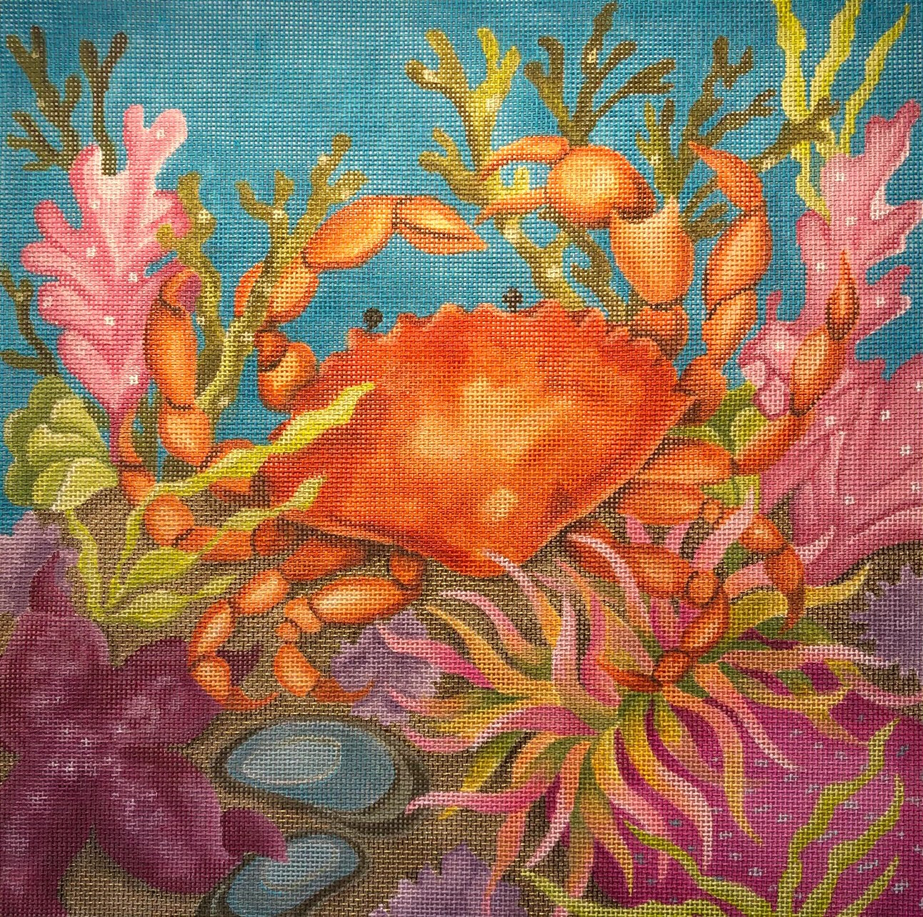 AL-035 Coral Reef Crab