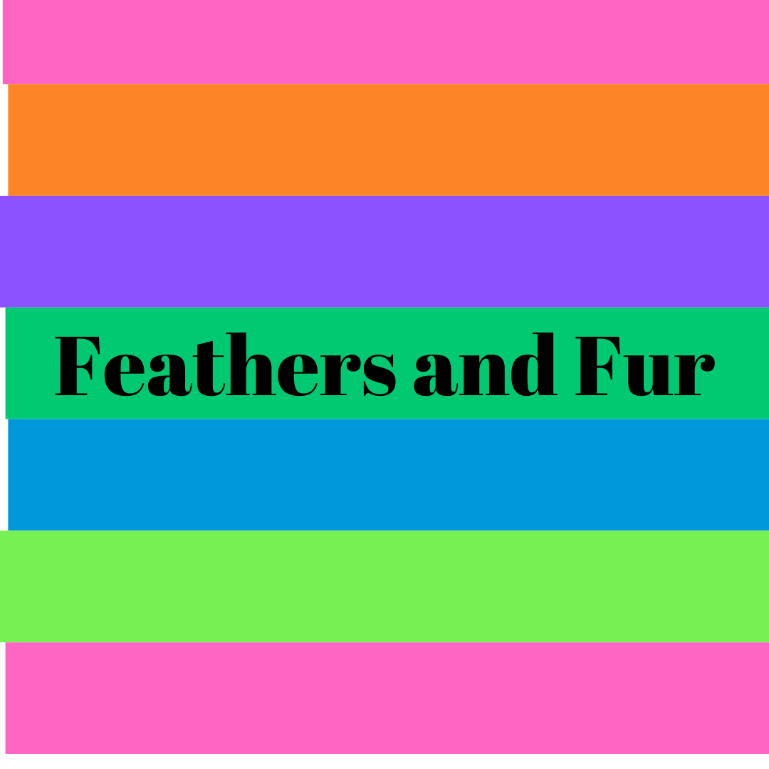 Feathers and Fur Recorded Class