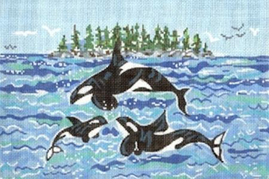 SWB141 Orca Family