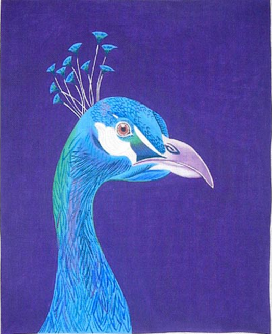ZE320 Peacock Portrait