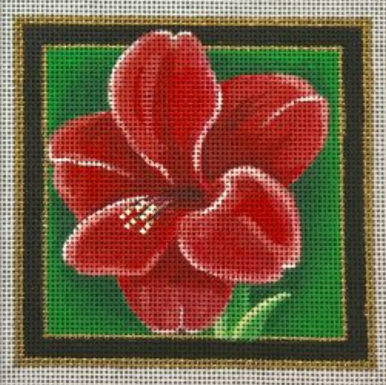 CS09 Amaryllis Christmas Coaster