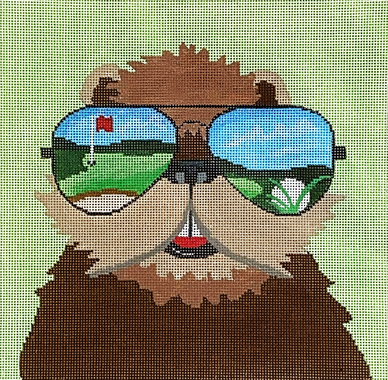 ZIA-172 Sunglasses Gopher