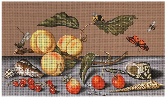 2253 Fruit and Shells